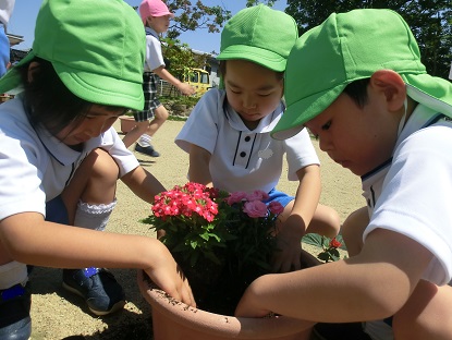 グリーンカーテン ゴーヤ の苗植え ほのぼの日記 富山県高岡市の認定こども園 かたかご幼稚園かたかご保育園